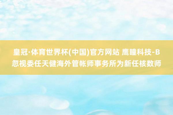 皇冠·体育世界杯(中国)官方网站 鹰瞳科技-B忽视委任天健海外管帐师事务所为新任核数师