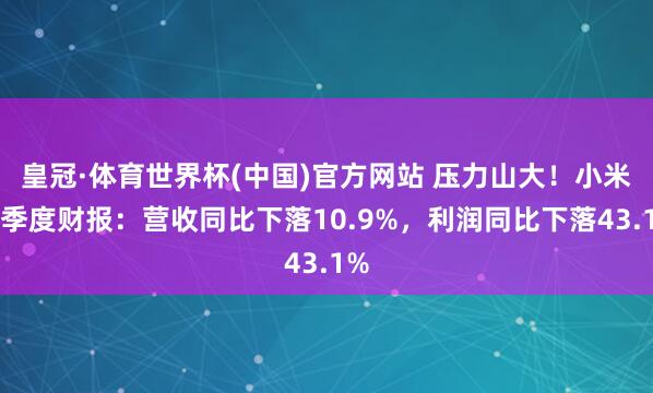 皇冠·体育世界杯(中国)官方网站 压力山大！小米一季度财报：营收同比下落10.9%，利润同比下落43.1%