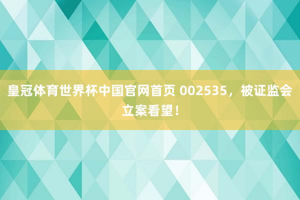 皇冠体育世界杯中国官网首页 002535，被证监会立案看望！