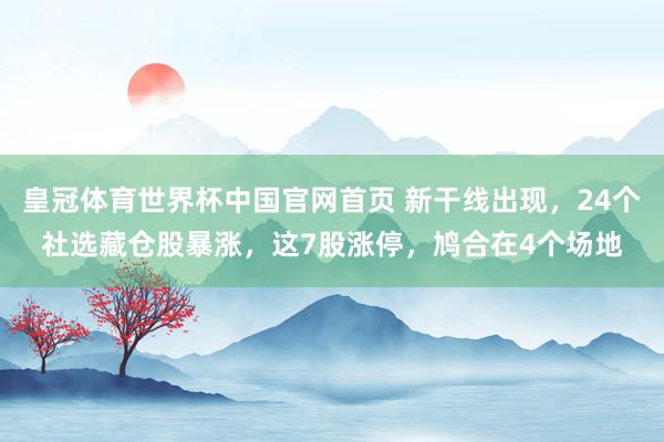 皇冠体育世界杯中国官网首页 新干线出现，24个社选藏仓股暴涨，这7股涨停，鸠合在4个场地