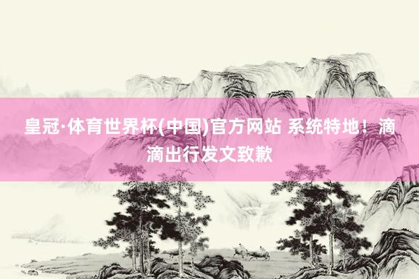 皇冠·体育世界杯(中国)官方网站 系统特地！滴滴出行发文致歉