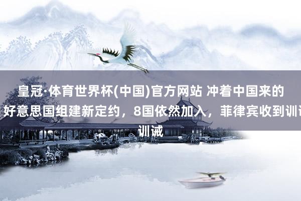 皇冠·体育世界杯(中国)官方网站 冲着中国来的，好意思国组建新定约，8国依然加入，菲律宾收到训诫