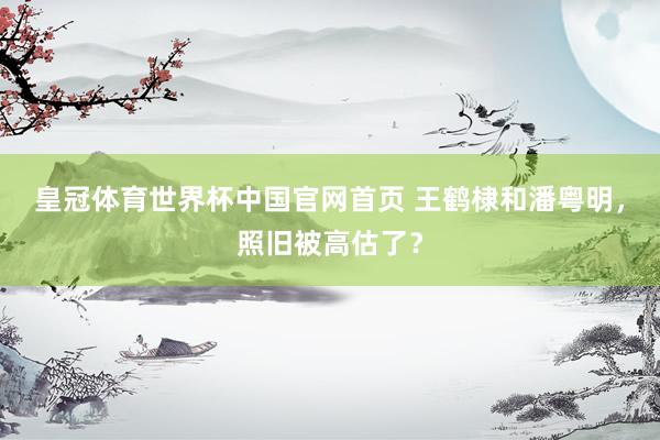 皇冠体育世界杯中国官网首页 王鹤棣和潘粤明，照旧被高估了？