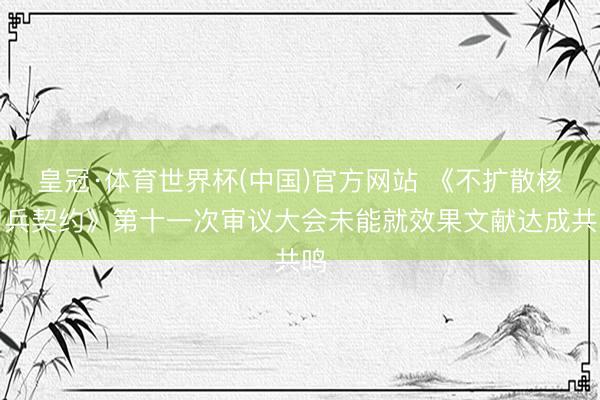 皇冠·体育世界杯(中国)官方网站 《不扩散核刀兵契约》第十一次审议大会未能就效果文献达成共鸣