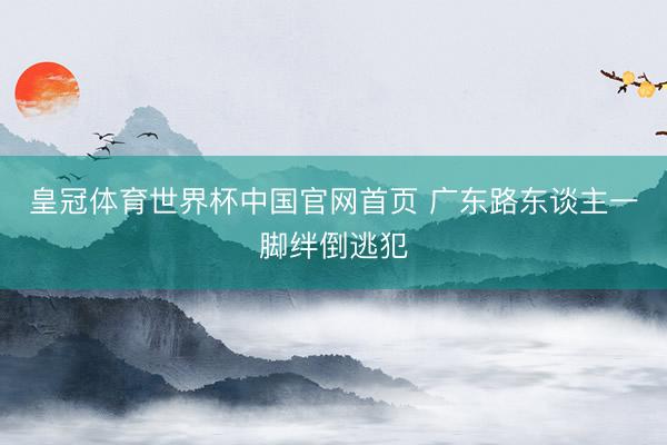 皇冠体育世界杯中国官网首页 广东路东谈主一脚绊倒逃犯