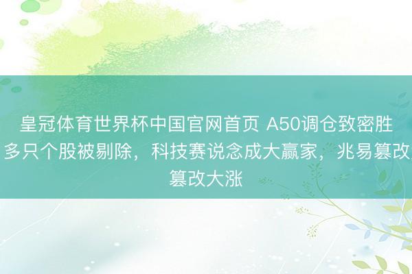 皇冠体育世界杯中国官网首页 A50调仓致密胜仗,多只个股被剔除,科技赛说念成大赢家,兆易篡改大涨